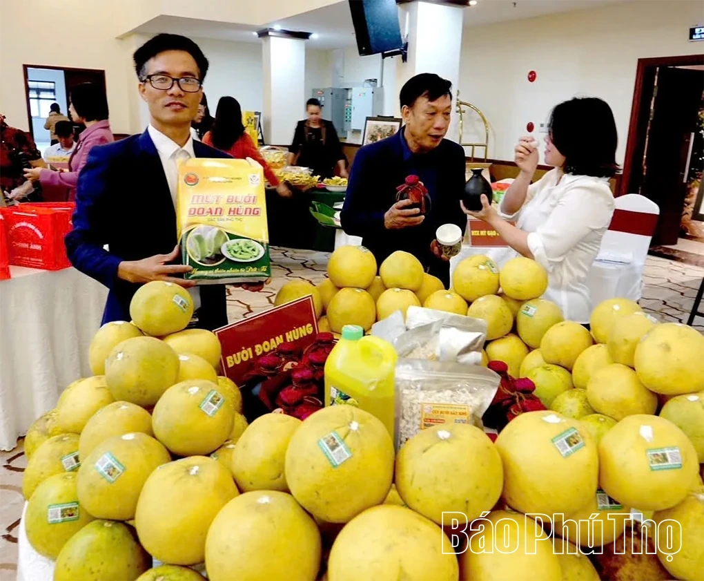 Sắc Xuân sản vật OCOP Đất Tổ