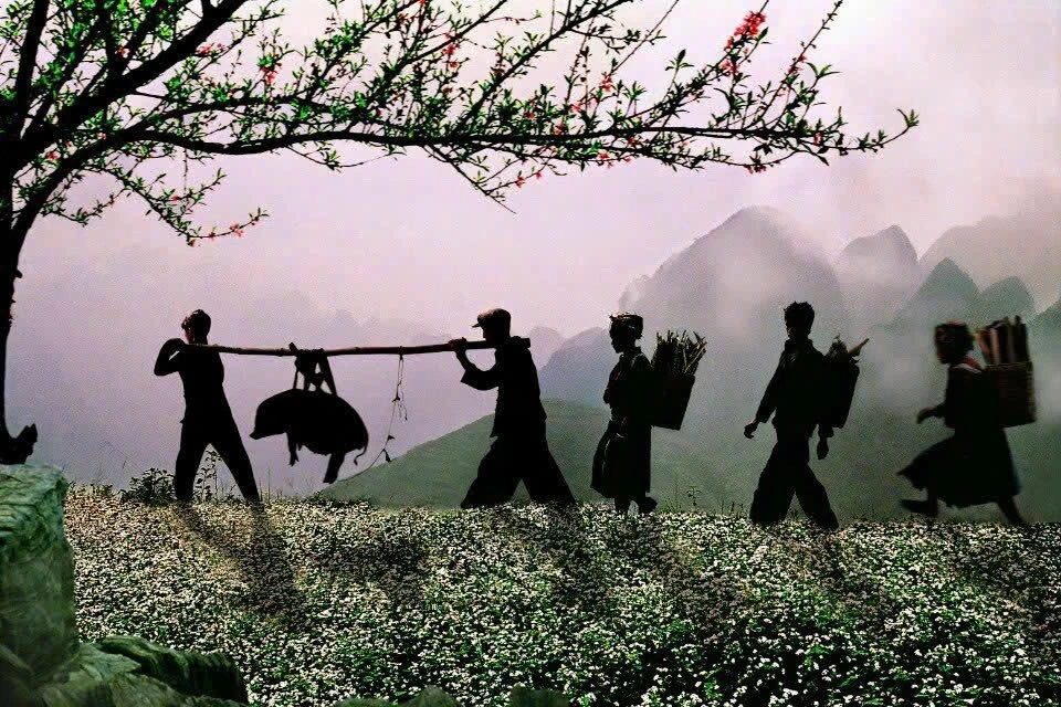 Nghệ sĩ nhiếp ảnh xuất sắc Vũ Hải