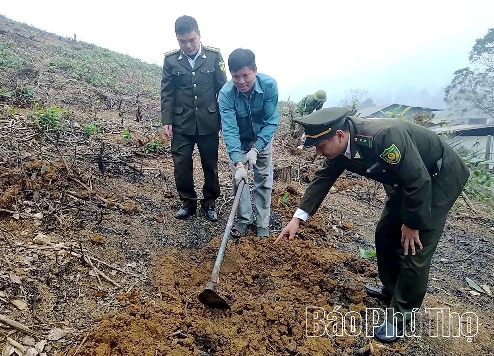 Tết trồng cây - Gieo mầm xanh, dựng xây quê hương