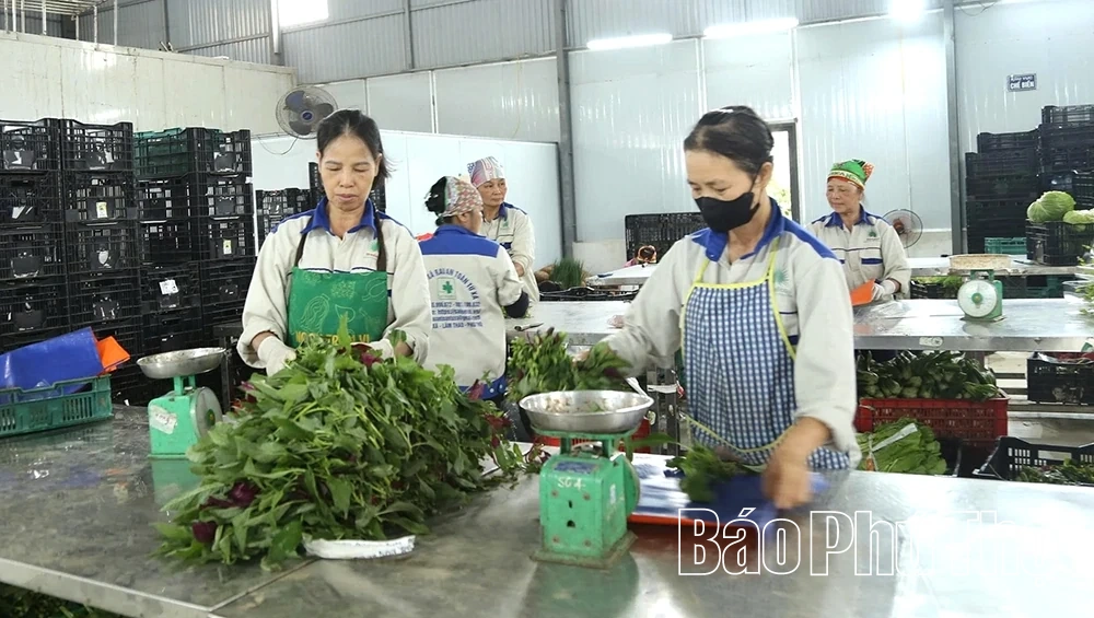 Xuống đồng đầu năm