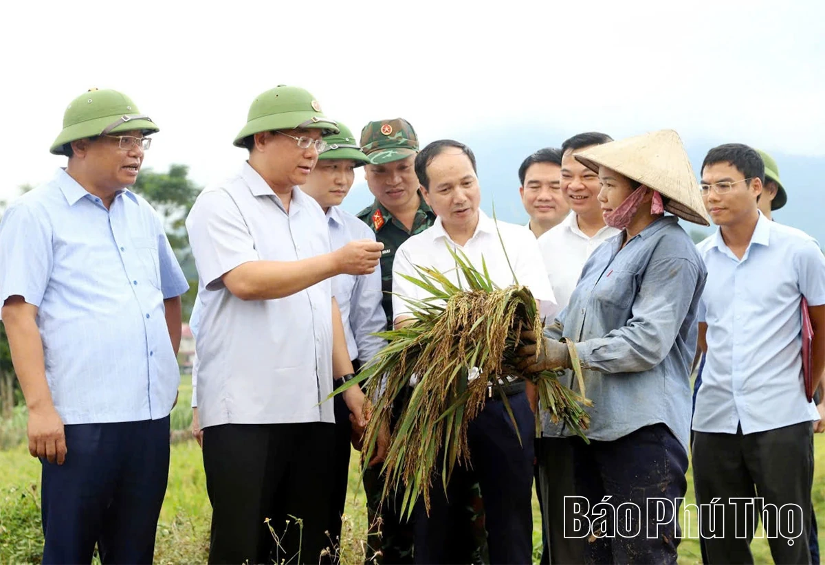 Phát huy nội lực, kiến tạo động lực, hoàn thành mục tiêu tăng trưởng hai con số, tạo nền tảng vững chắc cho năm 2026