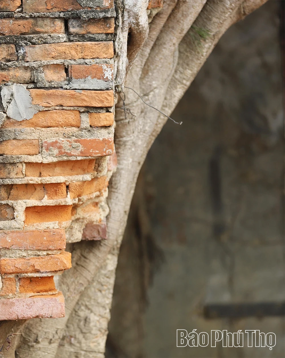 Độc đáo cổng đình Phú Hậu