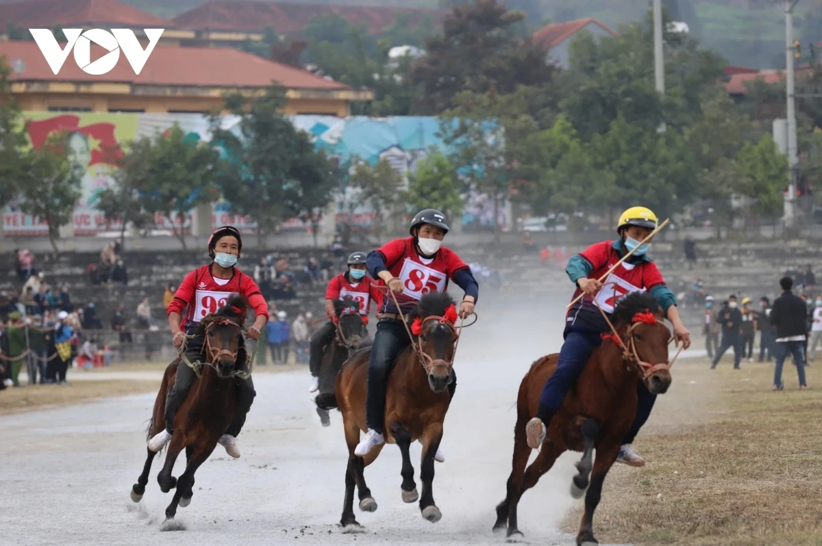Đến Bắc Hà nghe chuyện vó ngựa trên cao nguyên trắng
