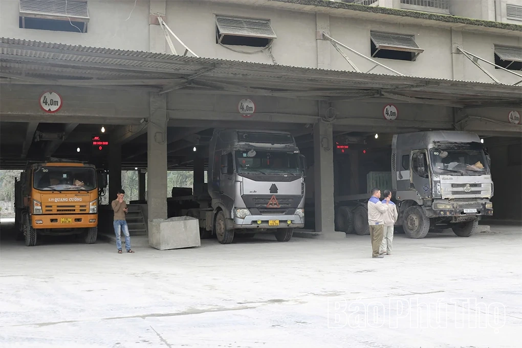 Xi măng Vicem Sông Thao xuất hàng đầu năm