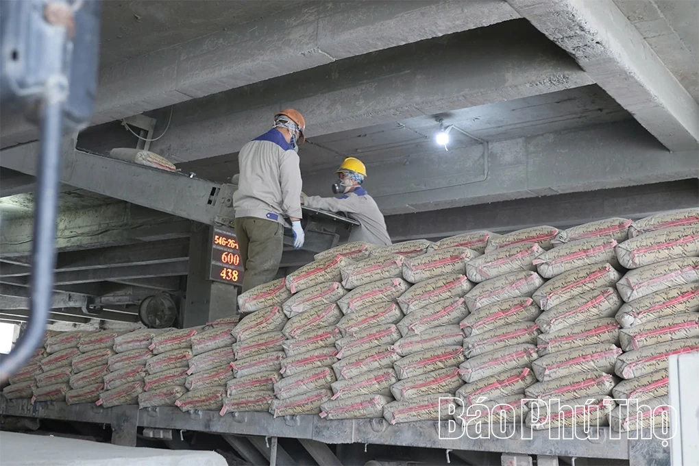 Xi măng Vicem Sông Thao xuất hàng đầu năm