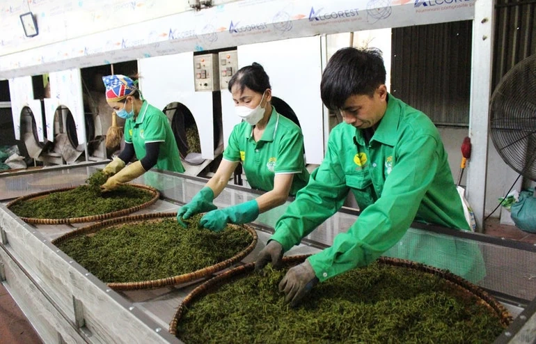 Thị trường trong nước - “bệ đỡ” để hàng Việt bứt tốc