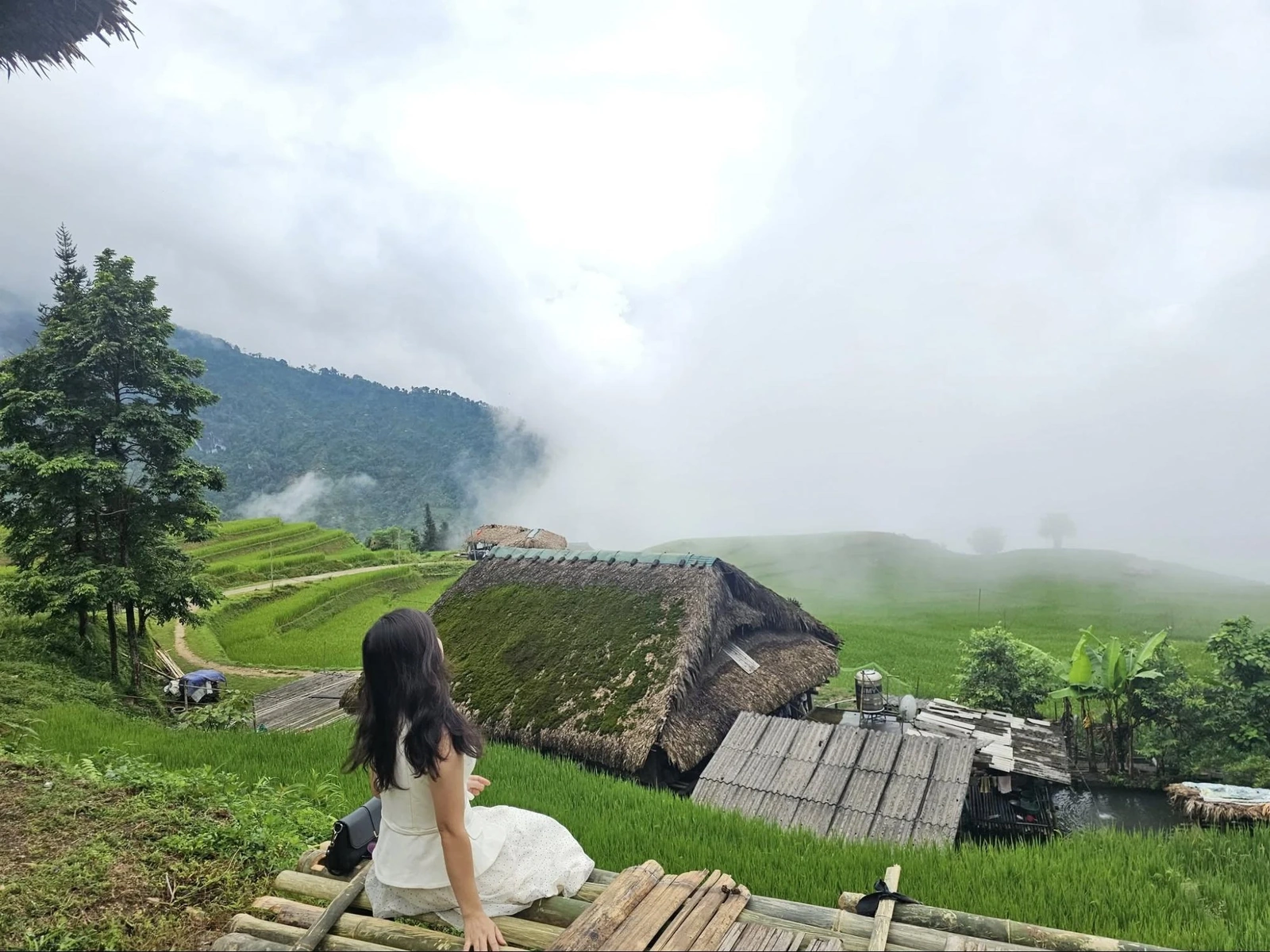 Du lịch Hà Giang mùa nào đẹp nhất? Gợi ý thời điểm lý tưởng để khám phá Hà Giang trọn vẹn