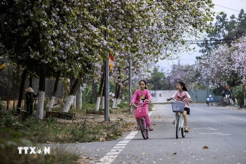 Ngày 1/3, nhiệt độ tại Bắc Bộ có nơi trên 33 độ C, nhiều khu vực có mưa dông