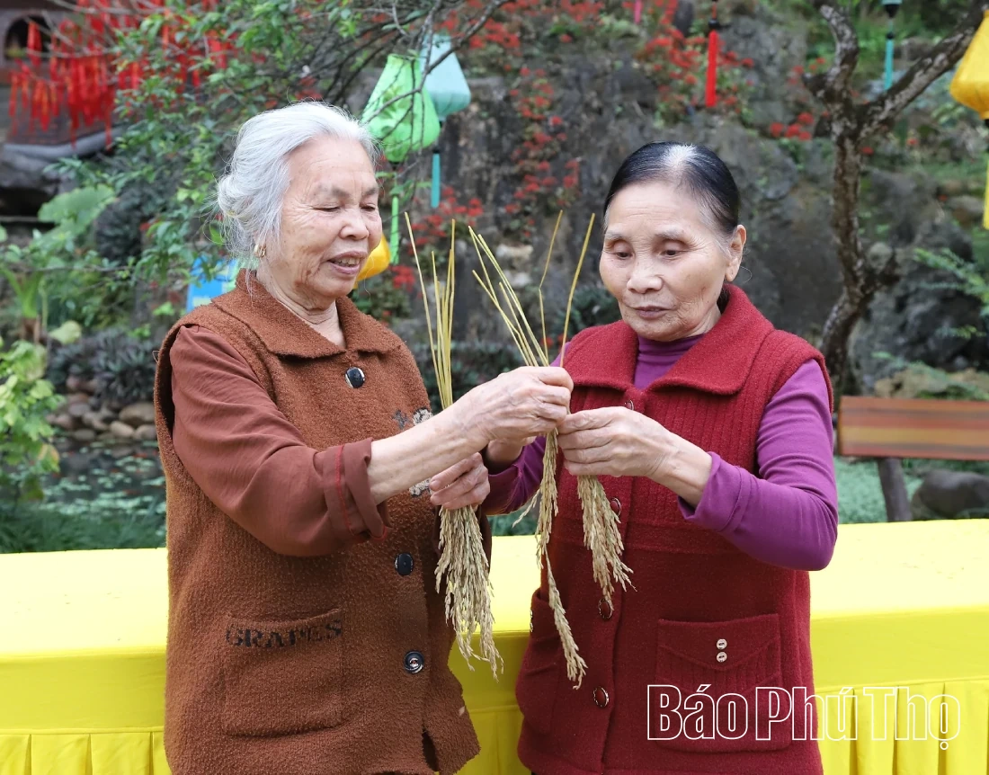 Rước “vía lúa” mong vụ mùa bội thu