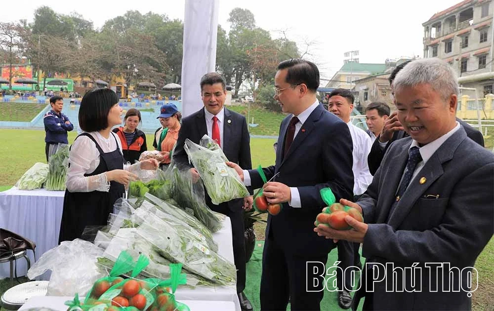 Lễ hội Hoa - Sinh vật cảnh Supe Lâm Thao lần thứ 2 Xuân Bính Ngọ 2026