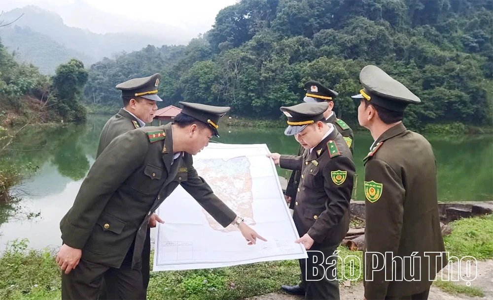 Giữ bình yên cho những cánh rừng