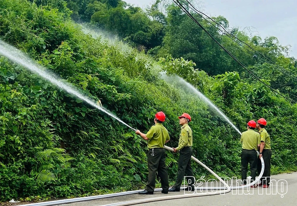 Giữ bình yên cho những cánh rừng