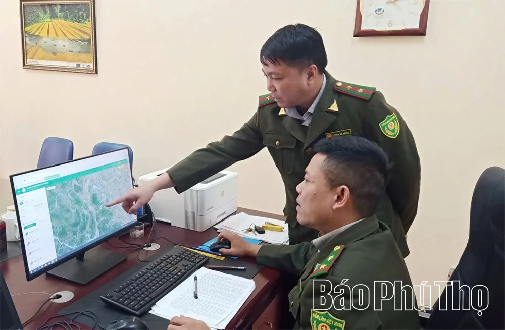 Giữ bình yên cho những cánh rừng