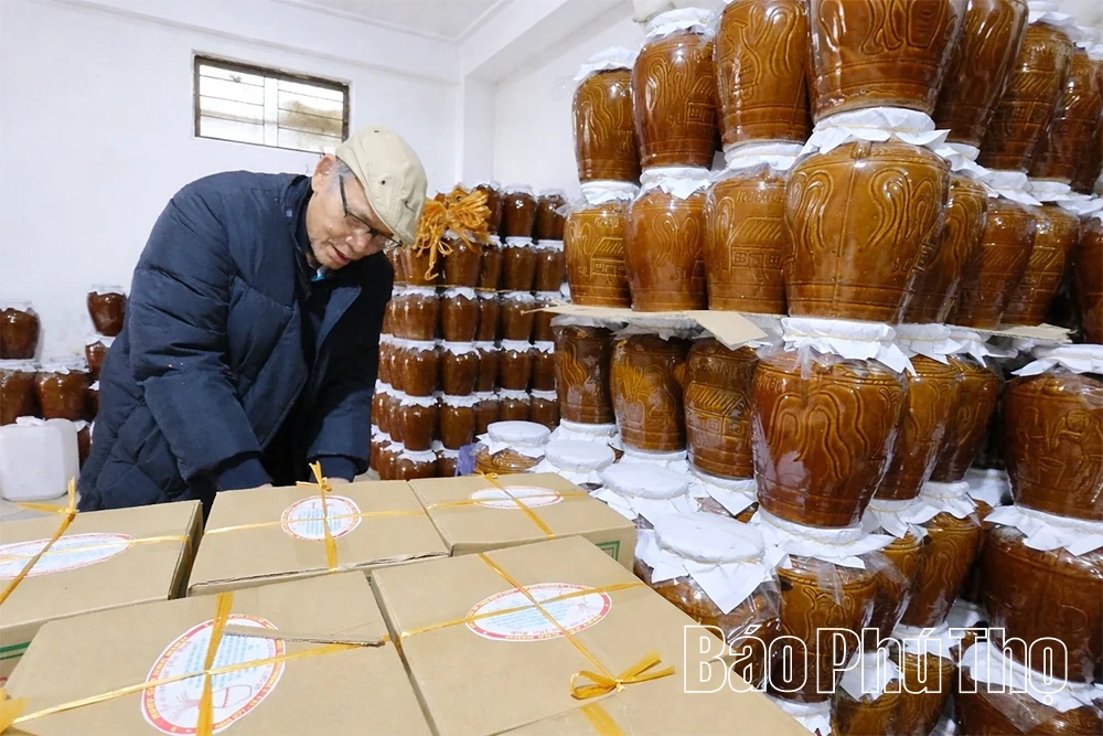 Rượu cần ngày Tết - men say của núi rừng