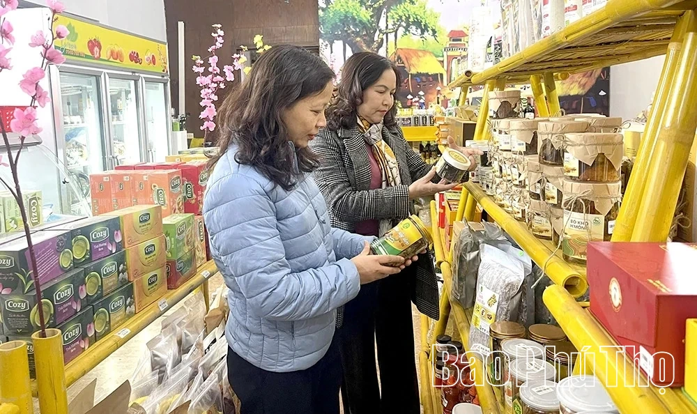 Nhịp Xuân mới ở các hợp tác xã