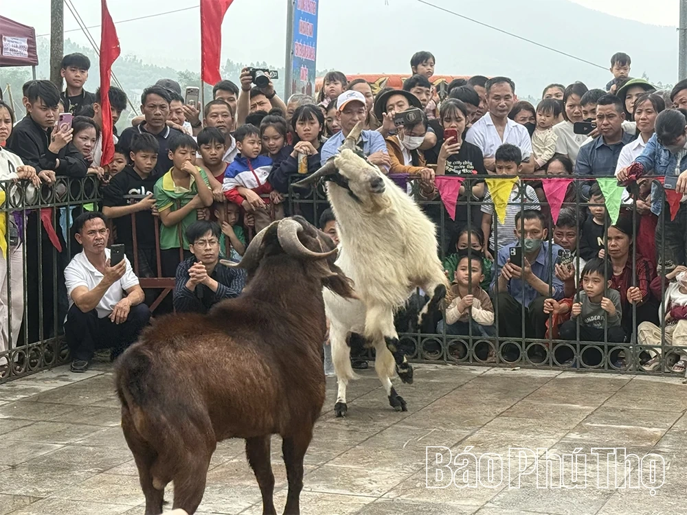 Độc đáo hội chọi dê trong Lễ hội xuống đồng của dân tộc Cao Lan