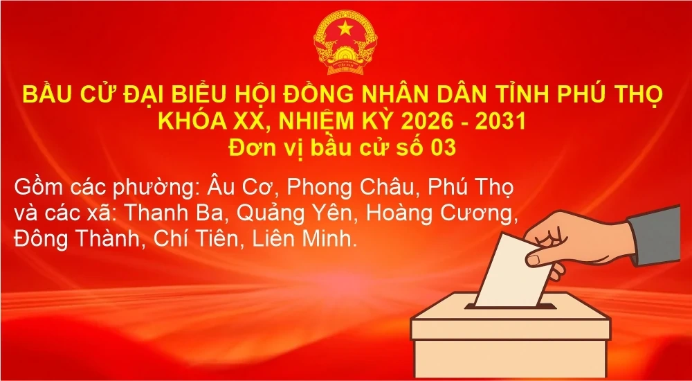 Đơn vị bầu cử số 03