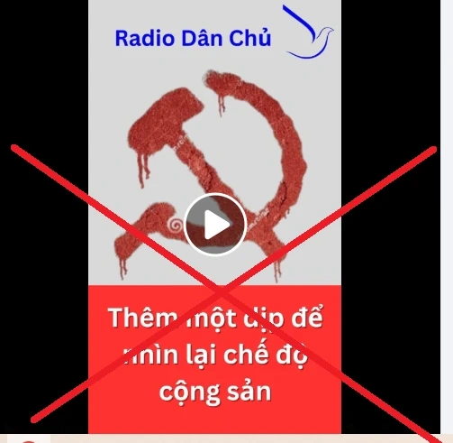 Bài học dân chủ, hòa bình