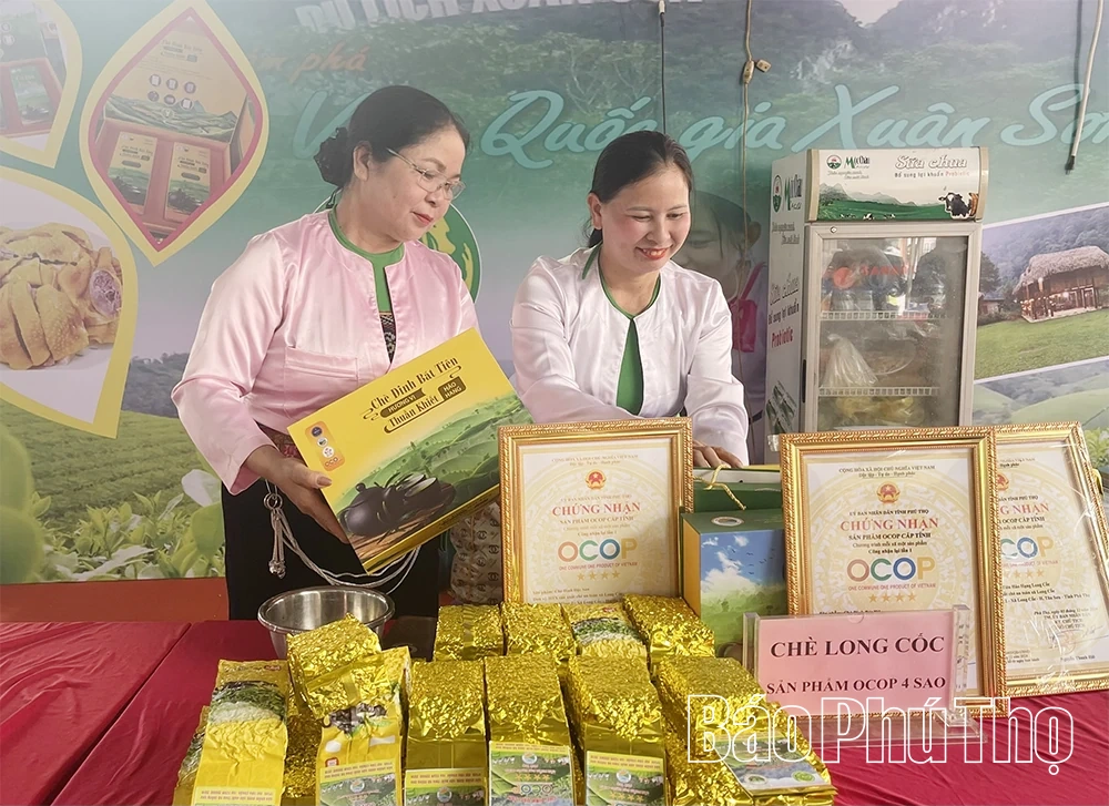 Dấu ấn phụ nữ trong phát triển kinh tế tập thể