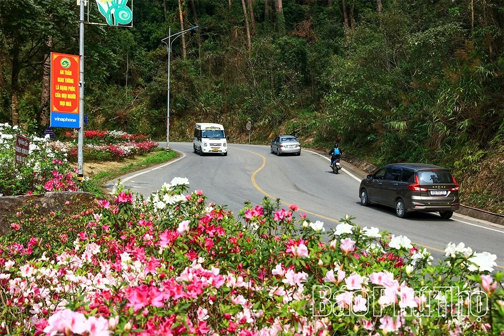 Hoa đỗ quyên - “Nàng thơ” của núi rừng