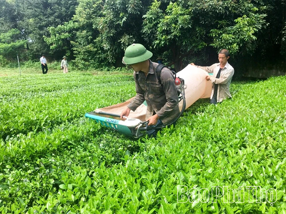 Nông nghiệp xanh - Hướng đi nâng tầm giá trị nông sản