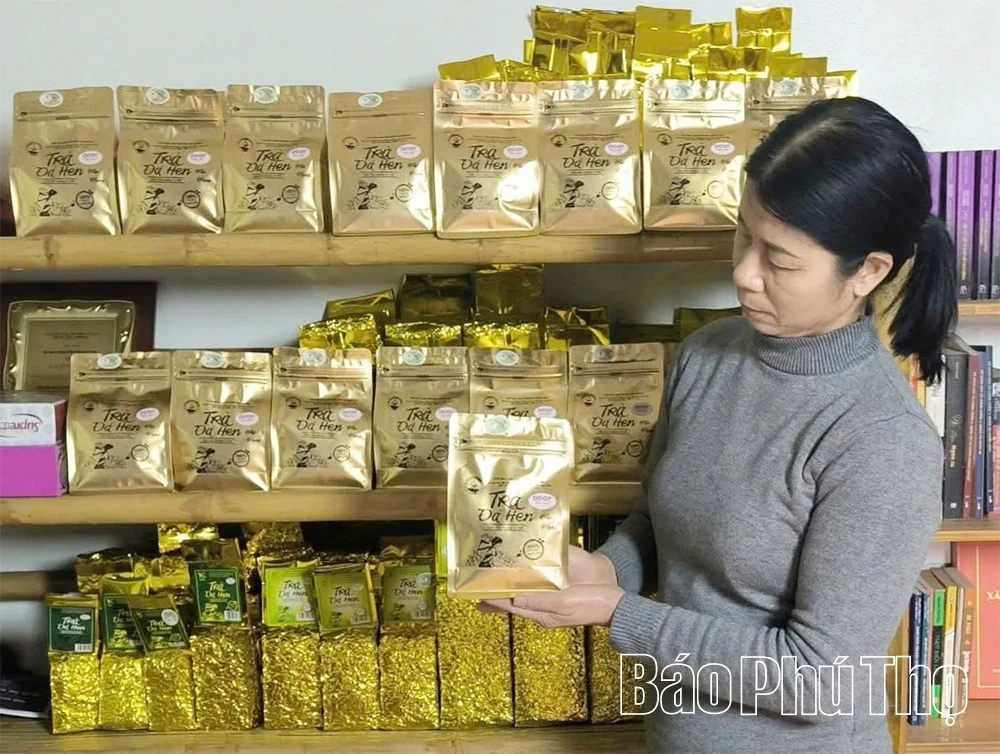 Chuyển đổi số trong quản trị doanh nghiệp và hợp tác xã