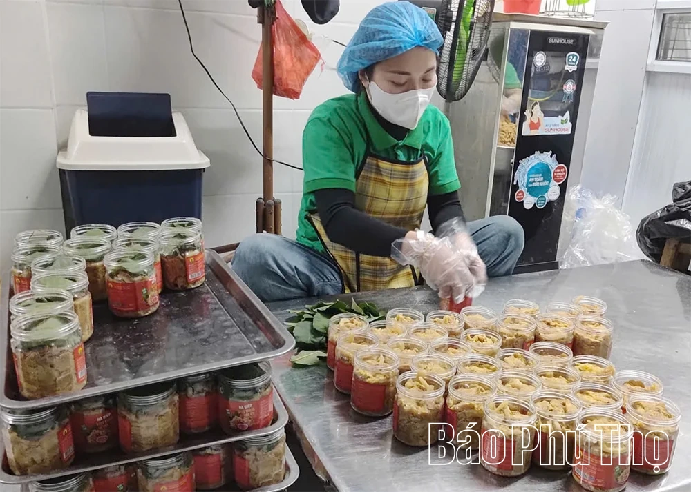 Chuyển đổi số trong quản trị doanh nghiệp và hợp tác xã