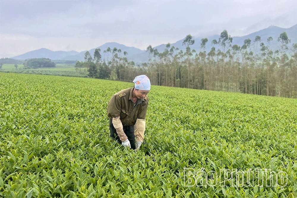 Phụ nữ Đất Tổ với Cuộc vận động Xây dựng gia đình 5 không, 3 sạch”