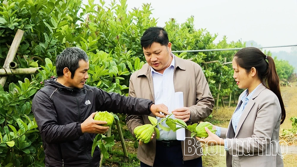 Cụ thể hóa nghị quyết, tạo động lực phát triển kinh tế từ cơ sở