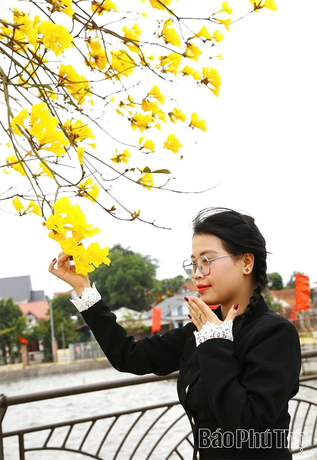 Ngỡ ngàng trước vẻ đẹp hoa phong linh, xã Tam Nông