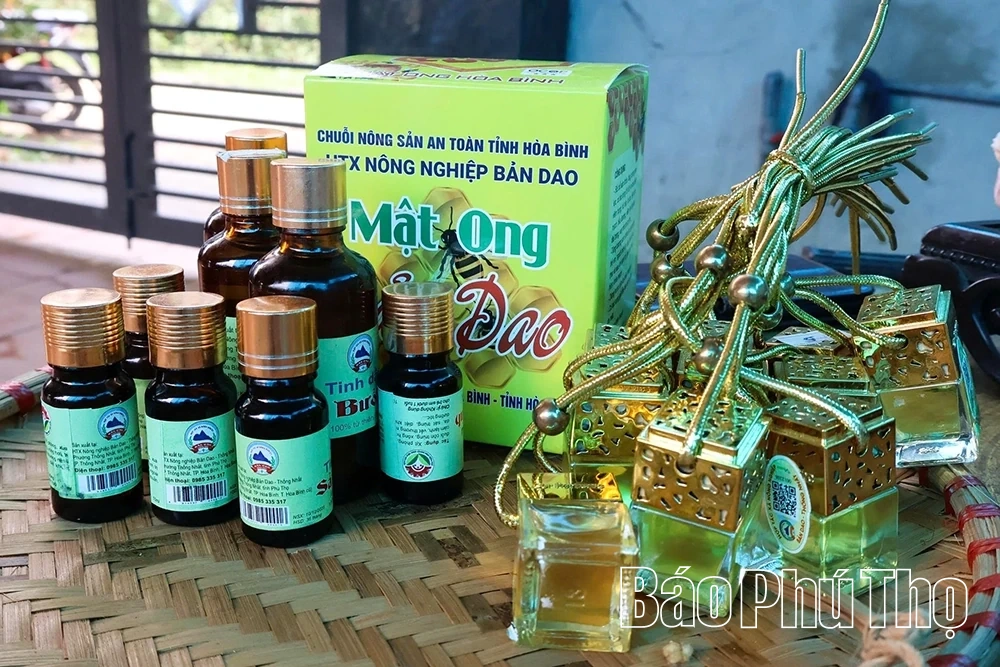 Người “đánh thức” hương sả bản Dao