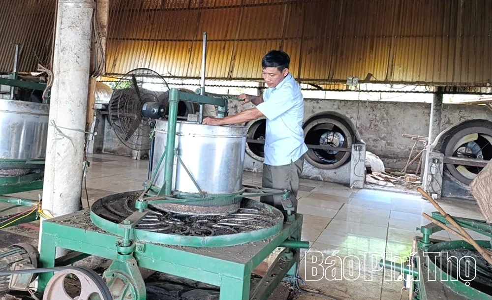 Sản xuất an toàn sinh học - Hướng đi bền vững cho ngành chè