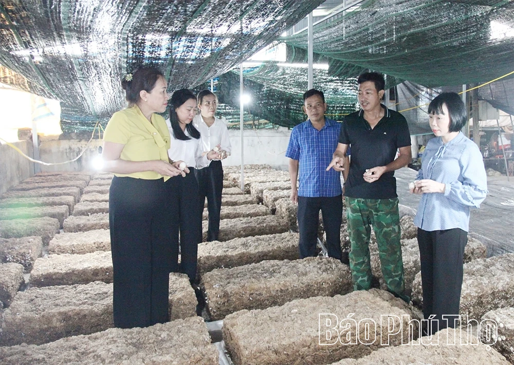 Tái cơ cấu nông nghiệp để tăng giá trị nông sản