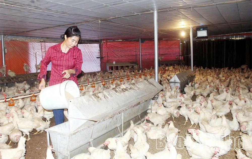 Tái cơ cấu nông nghiệp để tăng giá trị nông sản
