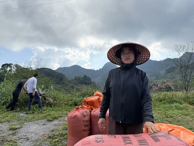 Chặt cành búp tím, bỏ quên Pà Cò