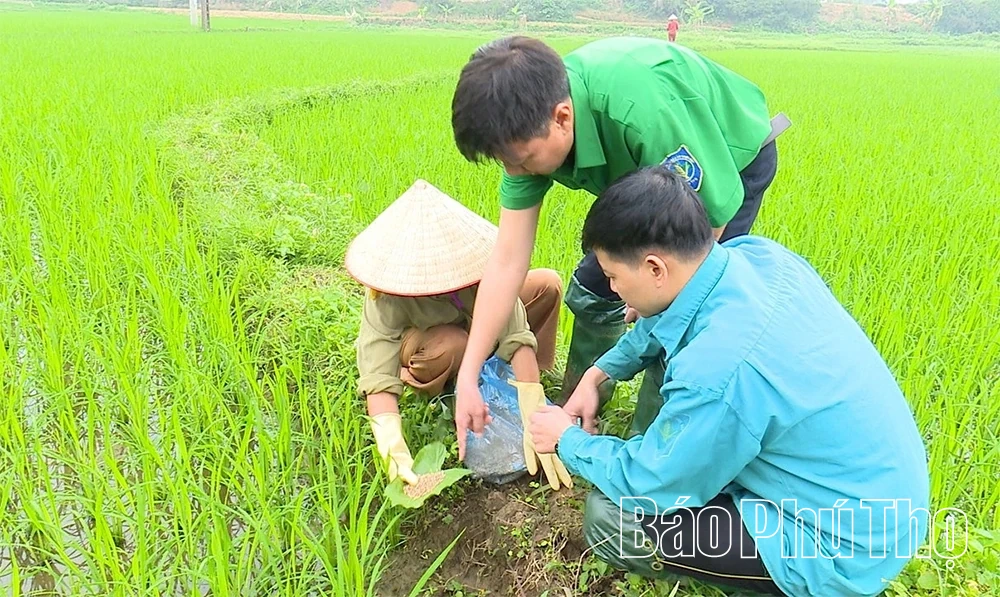 Phòng trừ sâu bệnh hại cây trồng vụ xuân