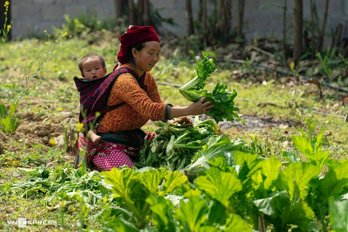 Ngôi làng HMông nguyên bản ít người biết ở Hà Giang