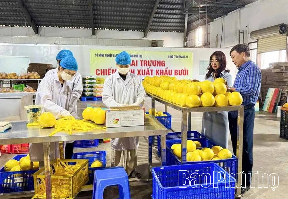 Phú Thọ vươn lên vị trí thứ 4 cả nước về kim ngạch xuất nhập khẩu