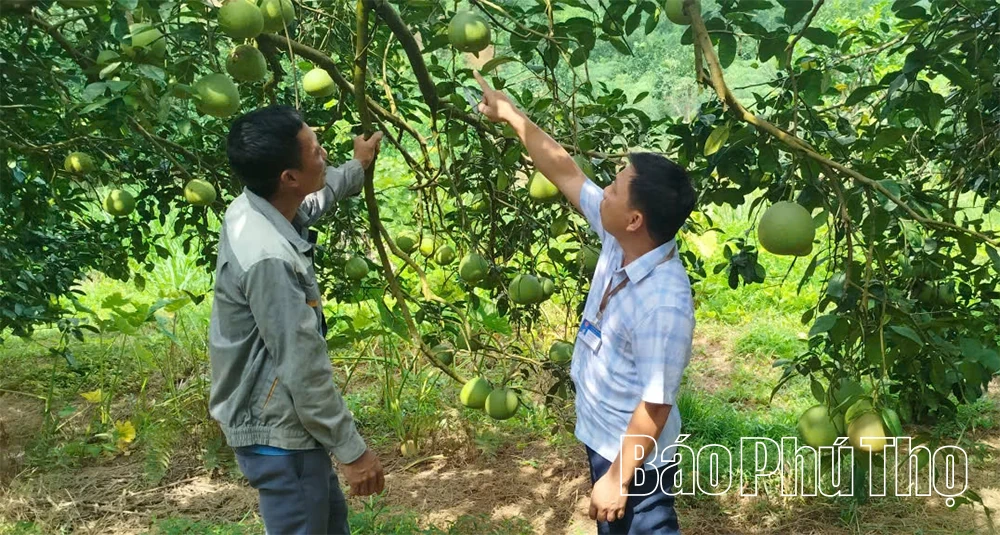 Từ Nghị quyết đến thực tế