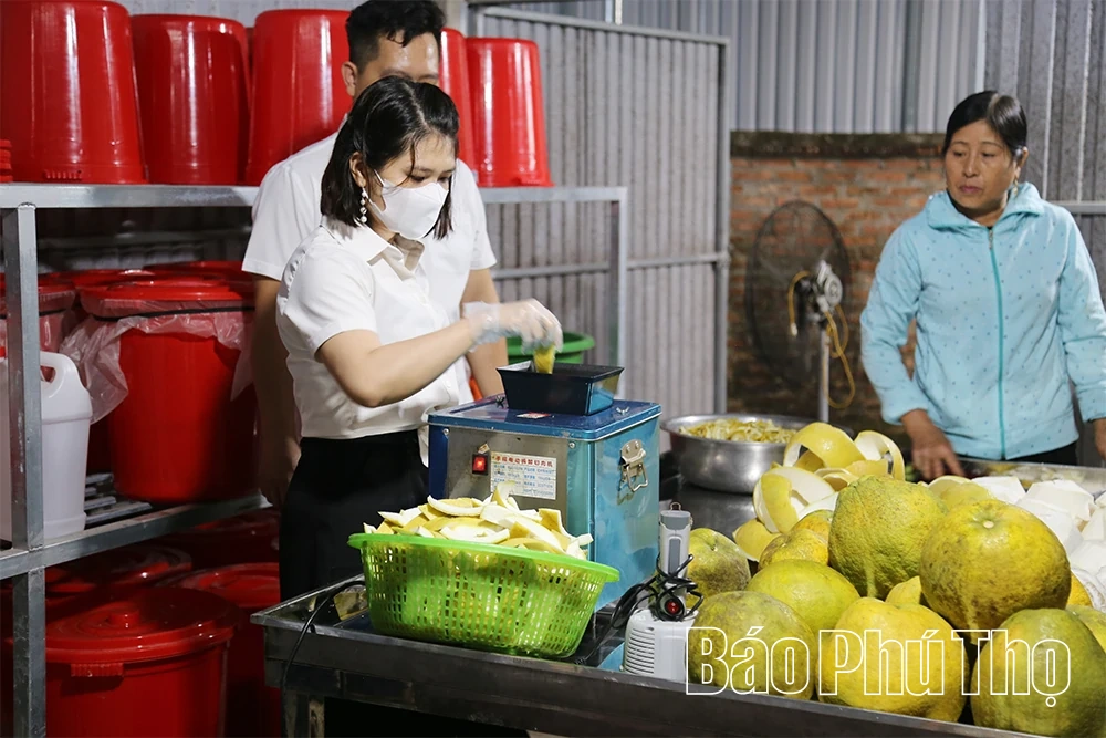 Từ Nghị quyết đến thực tế