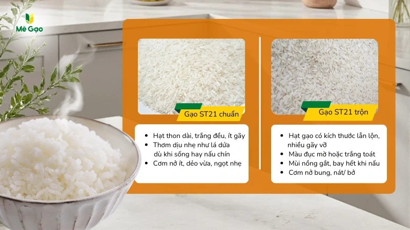 Cách phân biệt gạo ST21 thật và giả đơn giản, hiệu quả