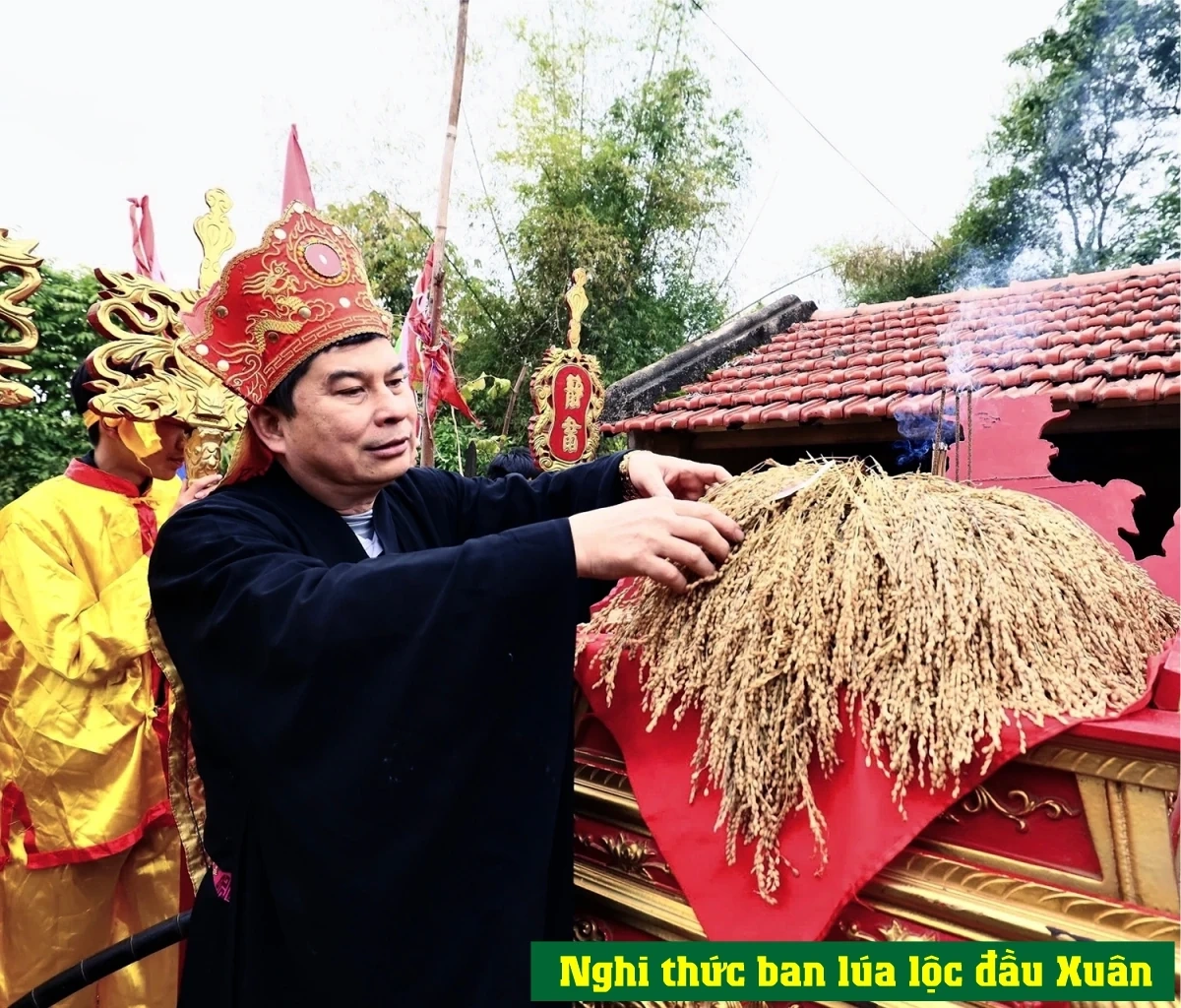 Vui kéo hội Đình Khênh