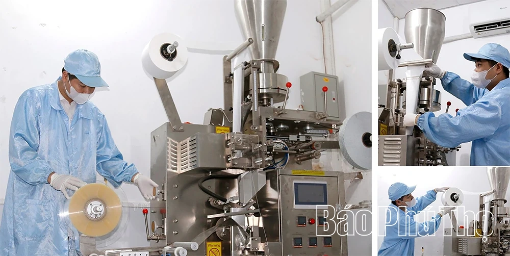 “Vị ngọt” quê hương