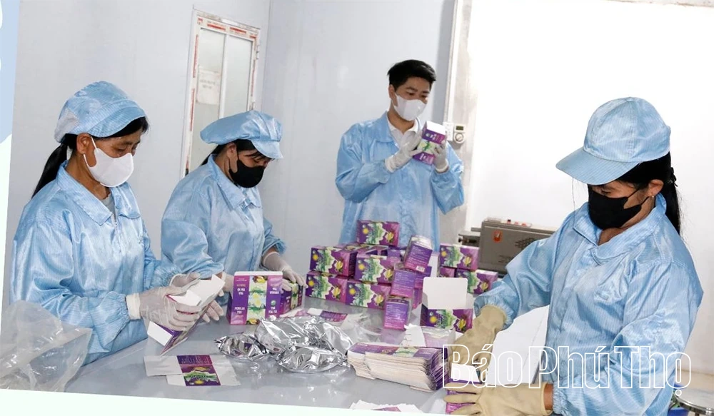 “Vị ngọt” quê hương