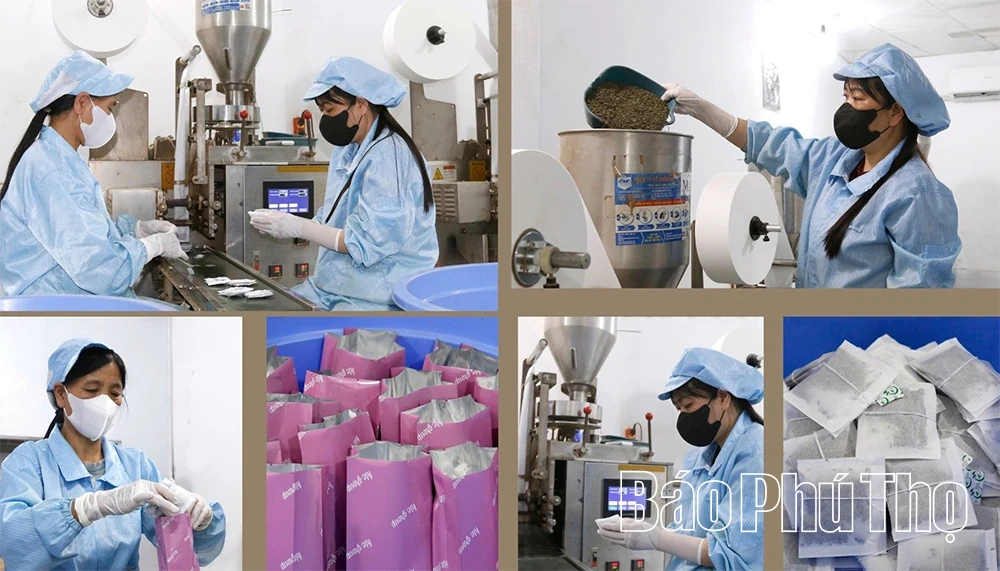 “Vị ngọt” quê hương