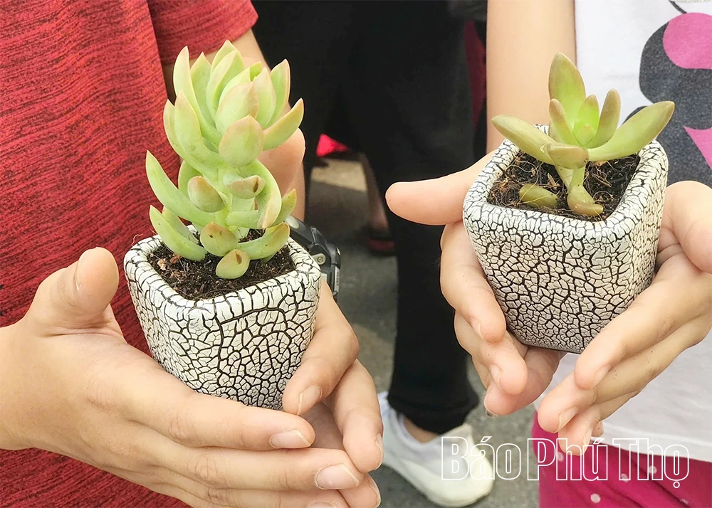 Đổi giấy lấy cây - Lan tỏa lối sống xanh từ trường học