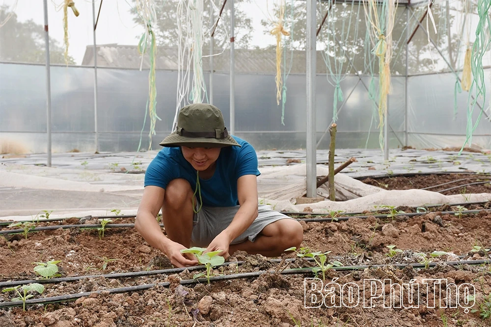 Hiệu quả sản xuất nông nghiệp ứng dụng công nghệ cao ở Nguyệt Đức