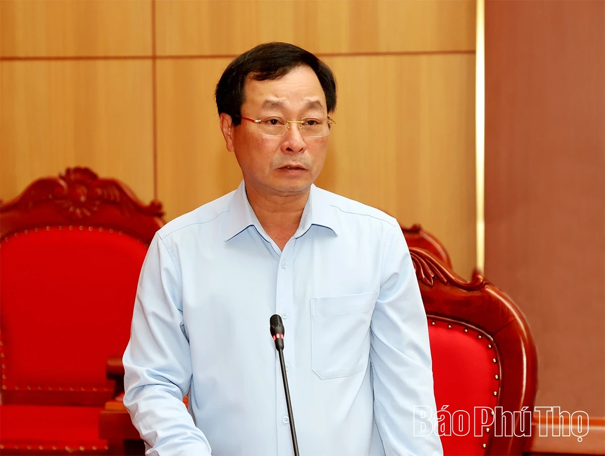 Triển khai quyết định, kế hoạch giám sát chuyên đề của Ban Thường vụ Tỉnh ủy