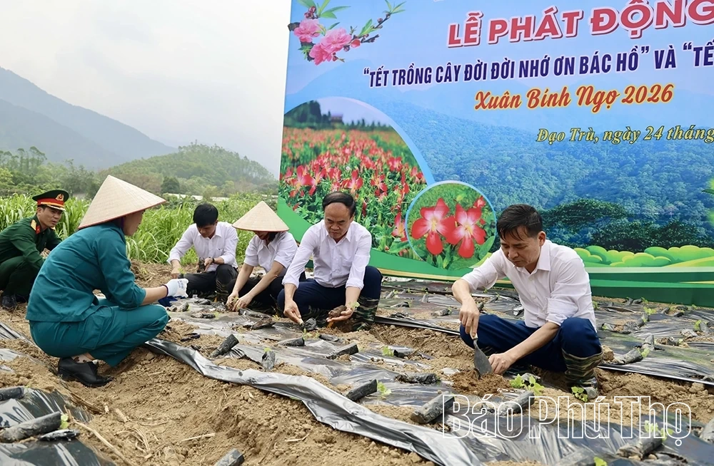 Phát động “Tết trồng cây đời đời nhớ ơn Bác Hồ” và “Tết trồng sâm” Xuân Bính Ngọ 2026