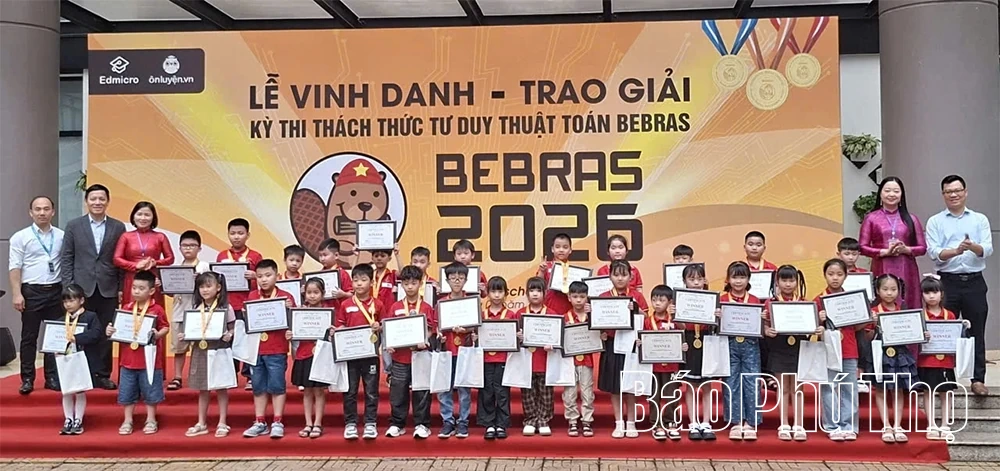 Trường Tiểu học Tân Dân có 174 học sinh đạt giải Bebras 2026